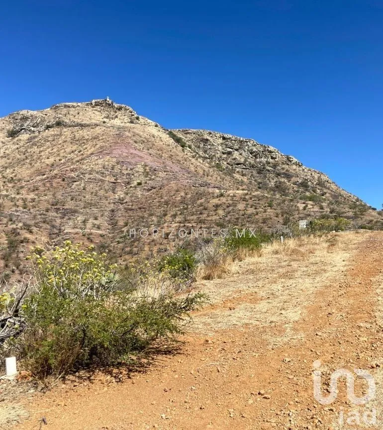 Terreno en Venta en Cerro de Sirena, Guanajuato, Guanajuato | NEX-230159 | iad México | Foto 4 de 16