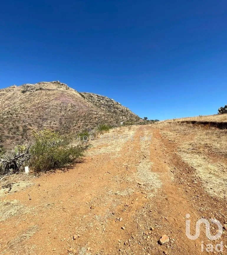 Terreno en Venta en Cerro de Sirena, Guanajuato, Guanajuato | NEX-230159 | iad México | Foto 6 de 16