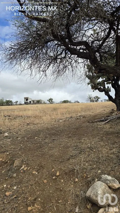 Terreno en Venta en Santa Teresa, Guanajuato, Guanajuato | NEX-230161 | iad México | Foto 8 de 21