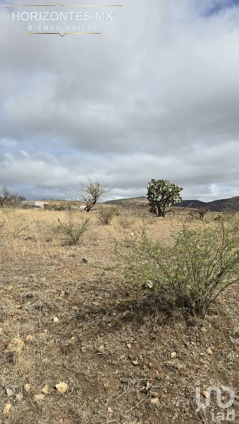 Terreno en Venta en Santa Teresa, Guanajuato, Guanajuato | NEX-230163 | iad México | Foto 16 de 21