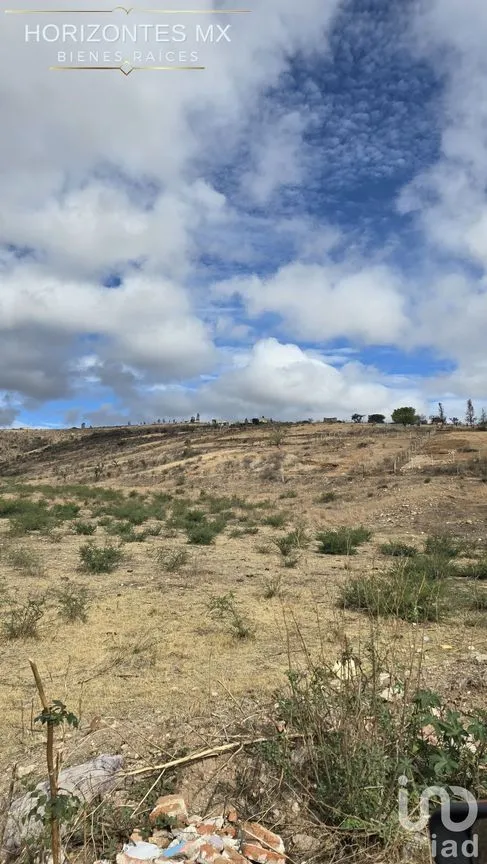 Terreno en Venta en Santa Teresa, Guanajuato, Guanajuato | NEX-230163 | iad México | Foto 20 de 21