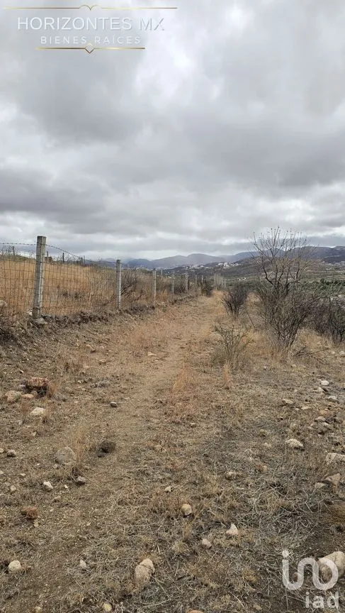 Terreno en Venta en Santa Teresa, Guanajuato, Guanajuato | NEX-230163 | iad México | Foto 7 de 21