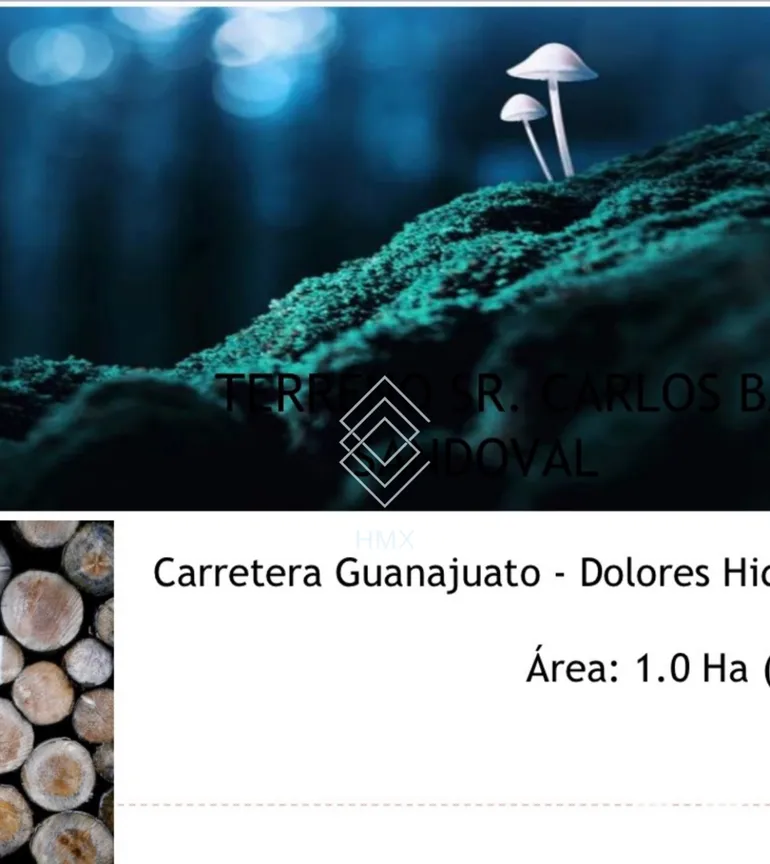 Terreno en Venta en Santa Rosa de Lima, Guanajuato, Guanajuato | NEX-230184 | iad México | Foto 2 de 12