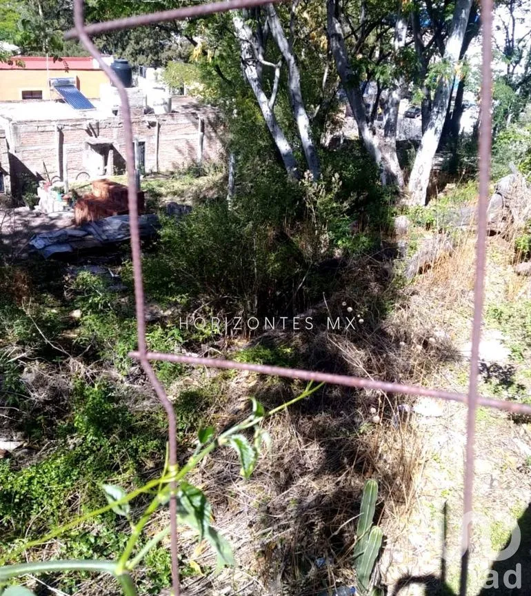 Terreno en Venta en Alameda, Guanajuato, Guanajuato | NEX-230187 | iad México | Foto 5 de 12