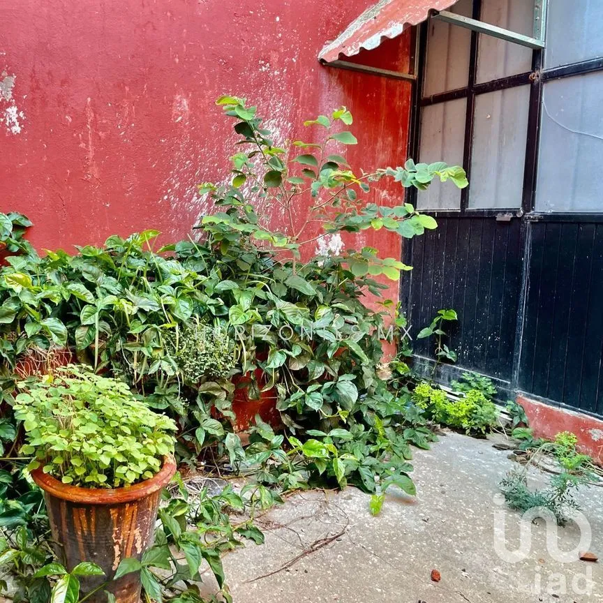 Casa en Venta en Guanajuato Centro, Guanajuato, Guanajuato | NEX-230191 | iad México | Foto 19 de 24