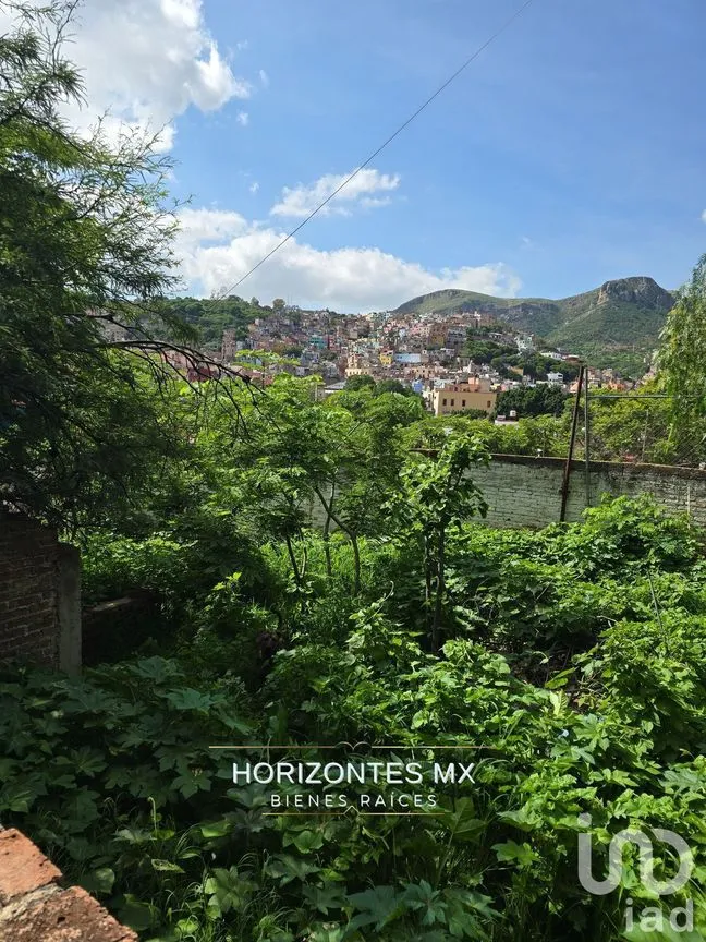 Terreno en Venta en Guanajuato Centro, Guanajuato, Guanajuato | NEX-230291 | iad México | Foto 24 de 26