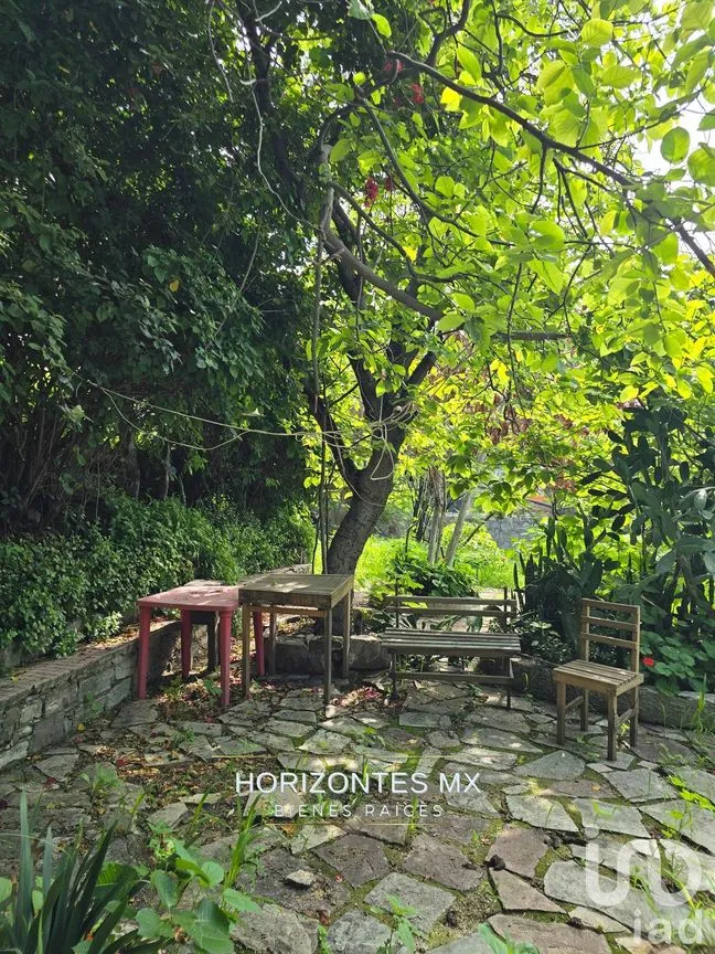 Terreno en Venta en Guanajuato Centro, Guanajuato, Guanajuato | NEX-232584 | iad México | Foto 20 de 26