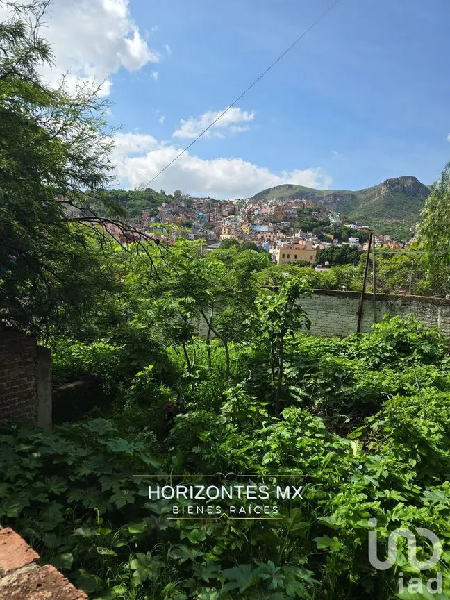 Terreno en Venta en Guanajuato Centro, Guanajuato, Guanajuato | NEX-232584 | iad México | Foto 24 de 26
