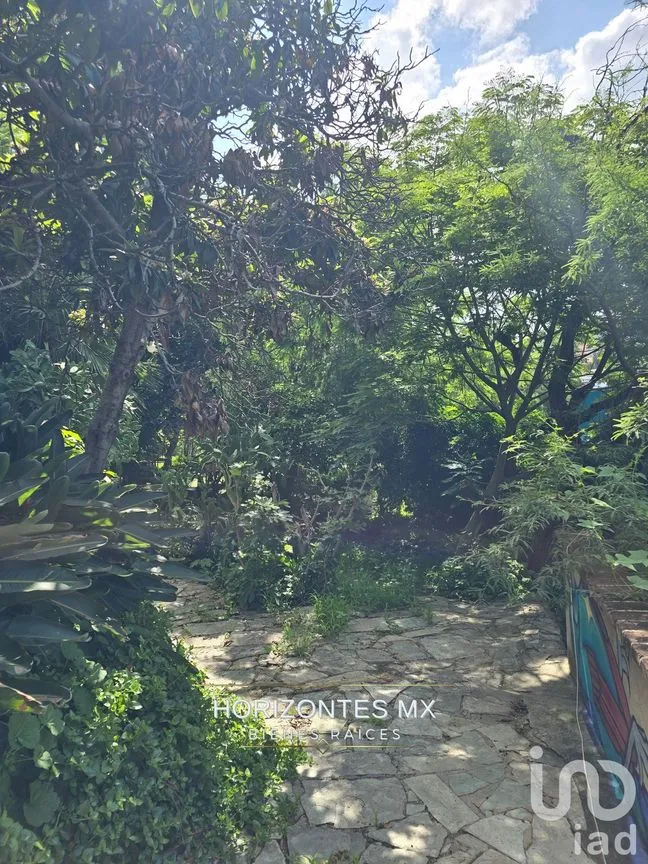 Terreno en Venta en Guanajuato Centro, Guanajuato, Guanajuato | NEX-232584 | iad México | Foto 25 de 26