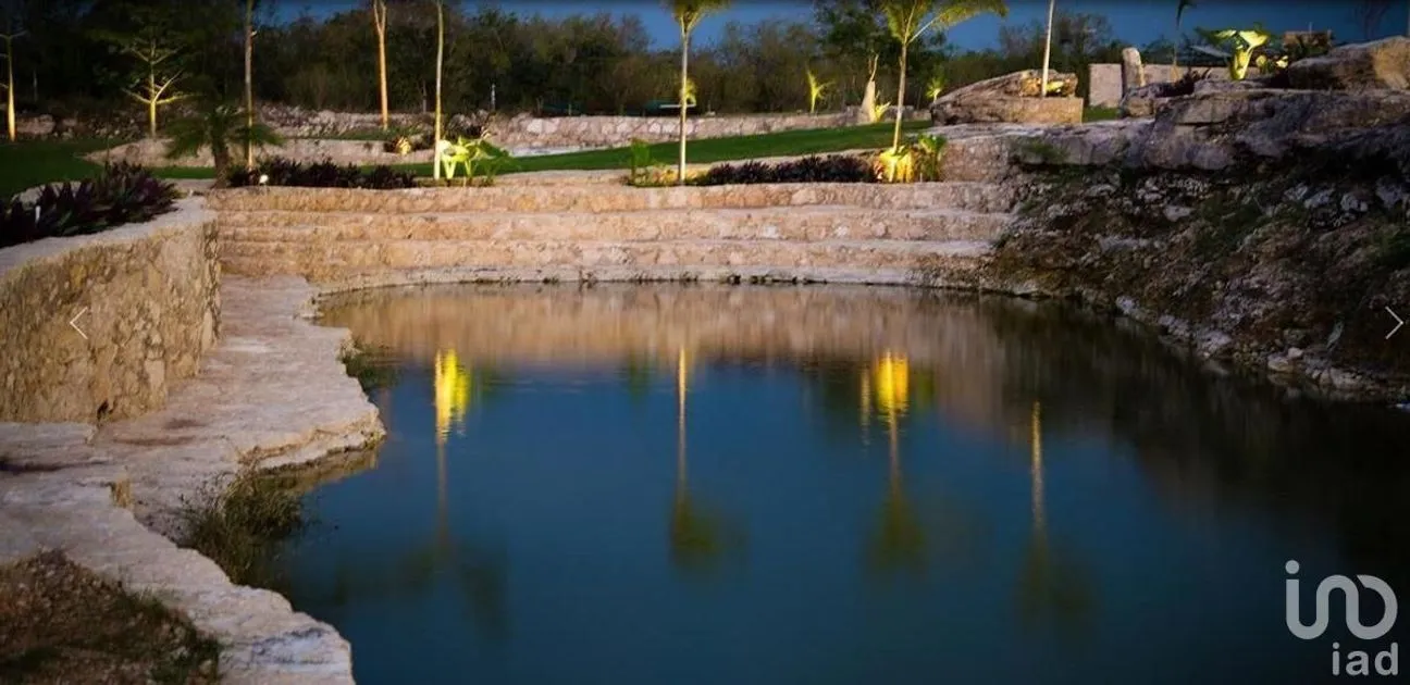 Terreno en Venta en Dzidzilché, Mérida, Yucatán | NEX-227862 | iad México | Foto 6 de 6