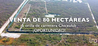 NEX-227865 - Terreno en Venta en Chicxulub, CP 97340, Yucatán.