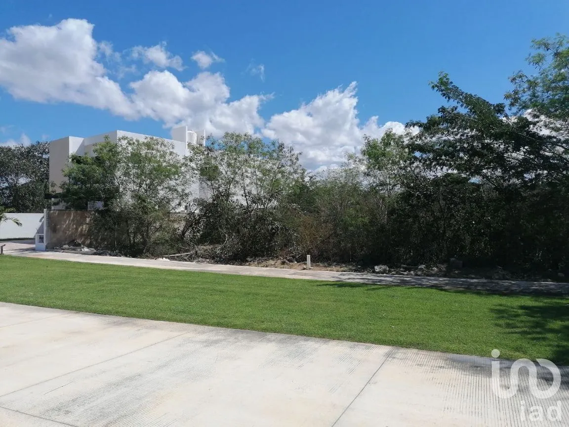 Terreno en Venta en Conkal, Conkal, Yucatán | NEX-227870 | iad México | Foto 3 de 11