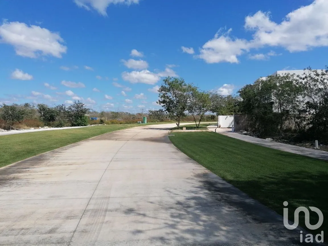 Terreno en Venta en Conkal, Conkal, Yucatán | NEX-227870 | iad México | Foto 8 de 11
