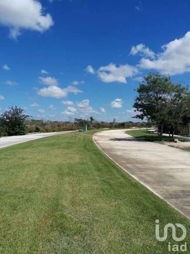 Terreno en Venta en Conkal, Conkal, Yucatán | NEX-227870 | iad México | Foto 10 de 11