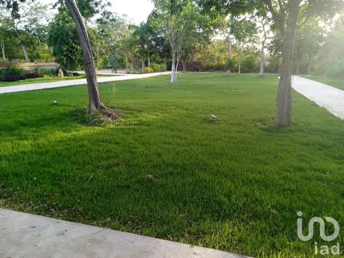 Terreno en Venta en Tamanché, Mérida, Yucatán | NEX-227873 | iad México | Foto 2 de 19