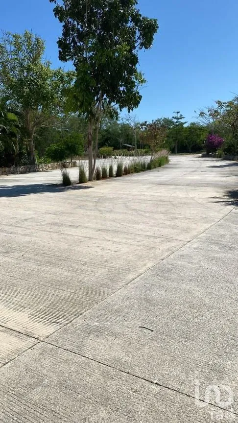 Terreno en Venta en Tamanché, Mérida, Yucatán | NEX-227873 | iad México | Foto 3 de 19