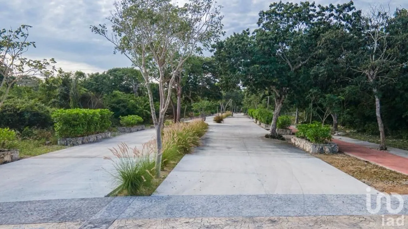 Terreno en Venta en Tamanché, Mérida, Yucatán | NEX-227873 | iad México | Foto 4 de 19