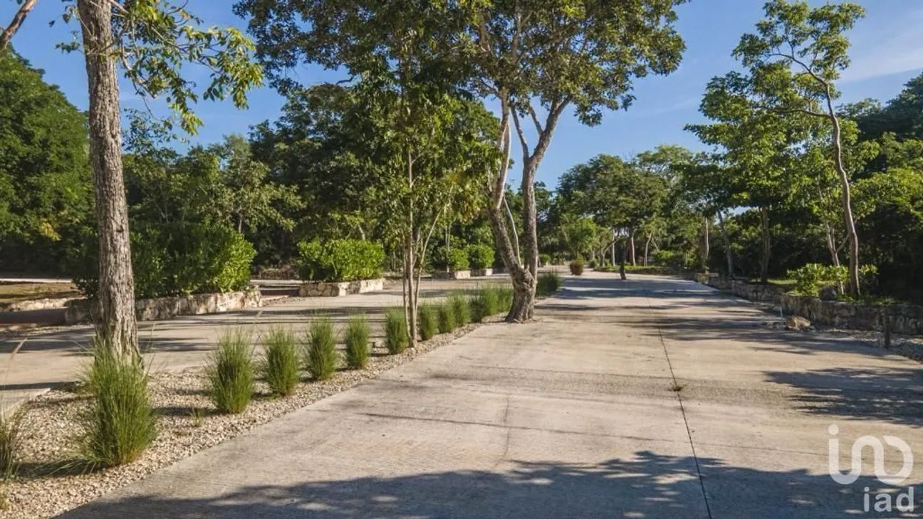 Terreno en Venta en Tamanché, Mérida, Yucatán | NEX-227873 | iad México | Foto 5 de 19