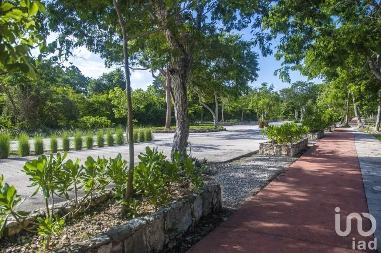 Terreno en Venta en Tamanché, Mérida, Yucatán | NEX-227873 | iad México | Foto 8 de 19