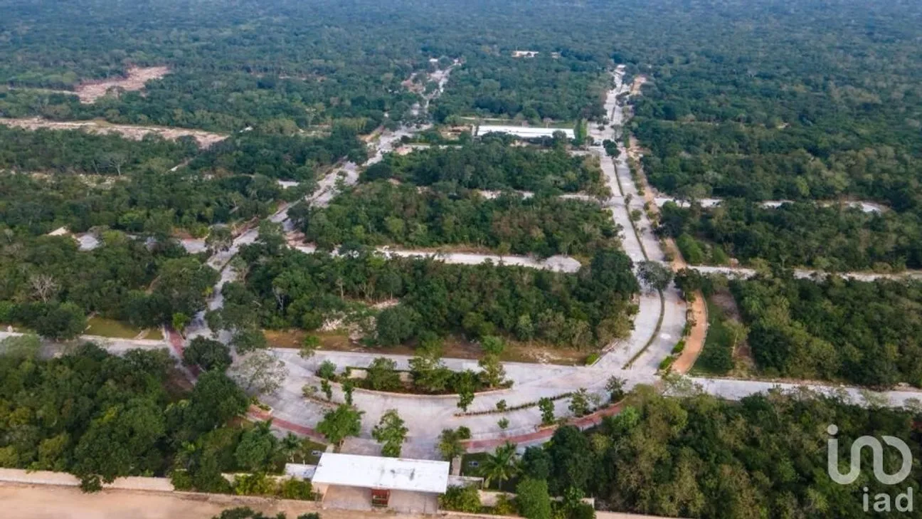 Terreno en Venta en Tamanché, Mérida, Yucatán | NEX-227873 | iad México | Foto 9 de 19
