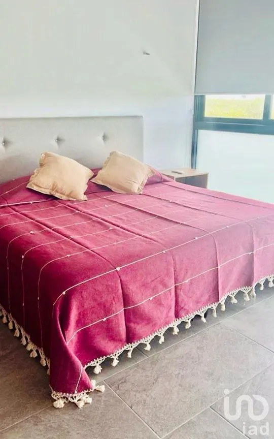 Departamento en Renta en La Ceiba, Mérida, Yucatán | NEX-227876 | iad México | Foto 7 de 7
