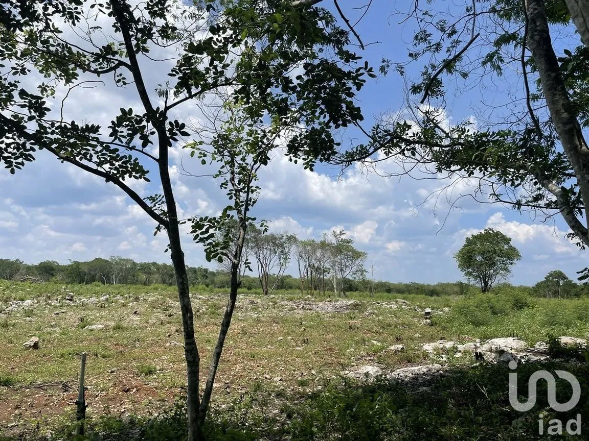 Terreno en Venta en Tecoh, Tecoh, Yucatán | NEX-227878 | iad México | Foto 2 de 8