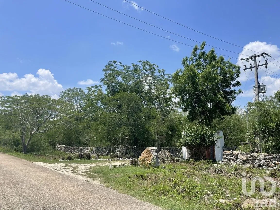 Terreno en Venta en Tecoh, Tecoh, Yucatán | NEX-227878 | iad México | Foto 5 de 8