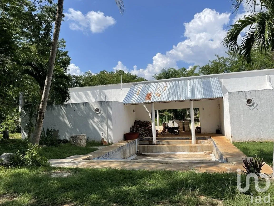 Terreno en Venta en Tecoh, Tecoh, Yucatán | NEX-227878 | iad México | Foto 6 de 8