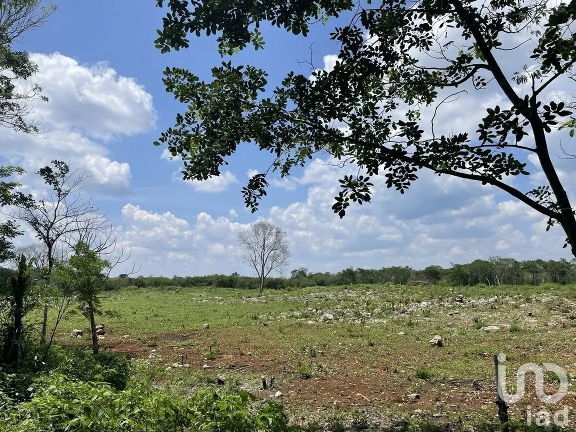 Terreno en Venta en Tecoh, Tecoh, Yucatán | NEX-227878 | iad México | Foto 1 de 8