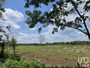 NEX-227878 - Terreno en Venta en Tecoh, CP 97820, Yucatán.