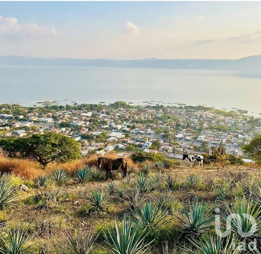 Terreno en Venta en Ajijic Centro, Chapala, Jalisco | NEX-280826 | iad México | Foto 4 de 8
