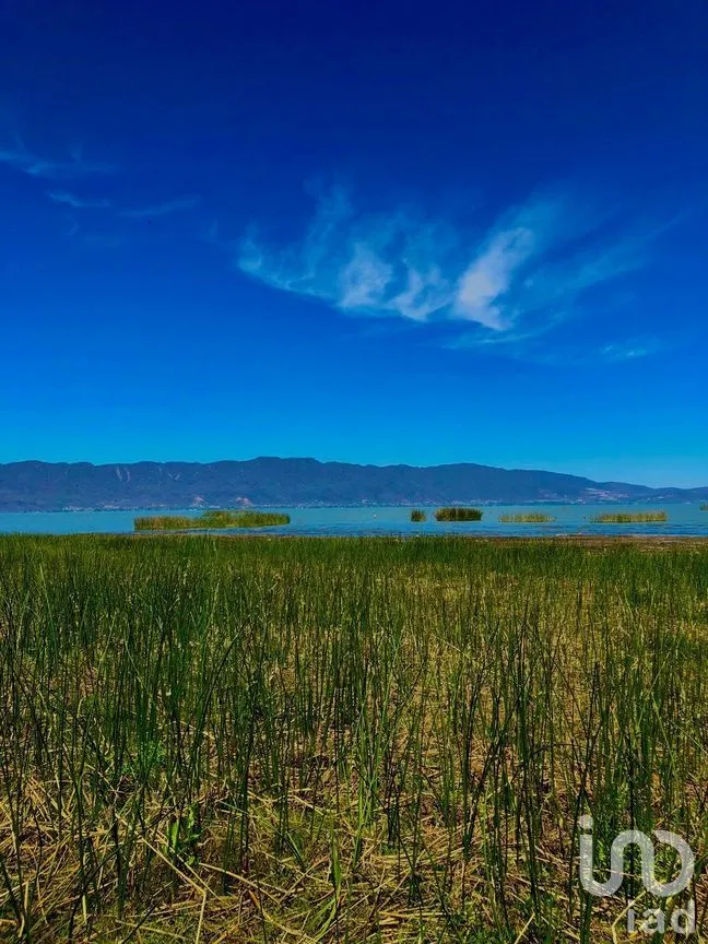 Terreno en Venta en Ajijic Centro, Chapala, Jalisco | NEX-280826 | iad México | Foto 8 de 8