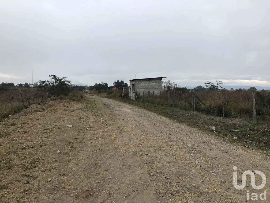 Terreno en Venta en Yalchivol, Comitán de Domínguez, Chiapas | NEX-116244 | iad México | Foto 12 de 29