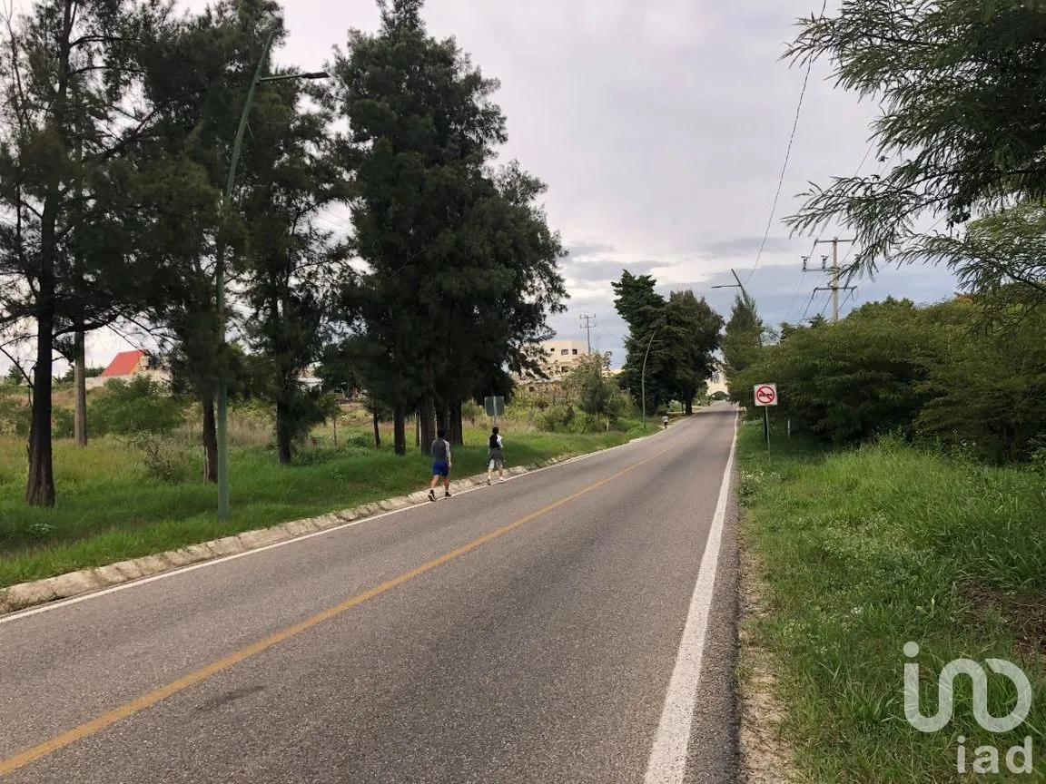 Terreno en Renta en Chichima Guadalupe, Comitán de Domínguez, Chiapas | NEX-270270 | iad México | Foto 2 de 17