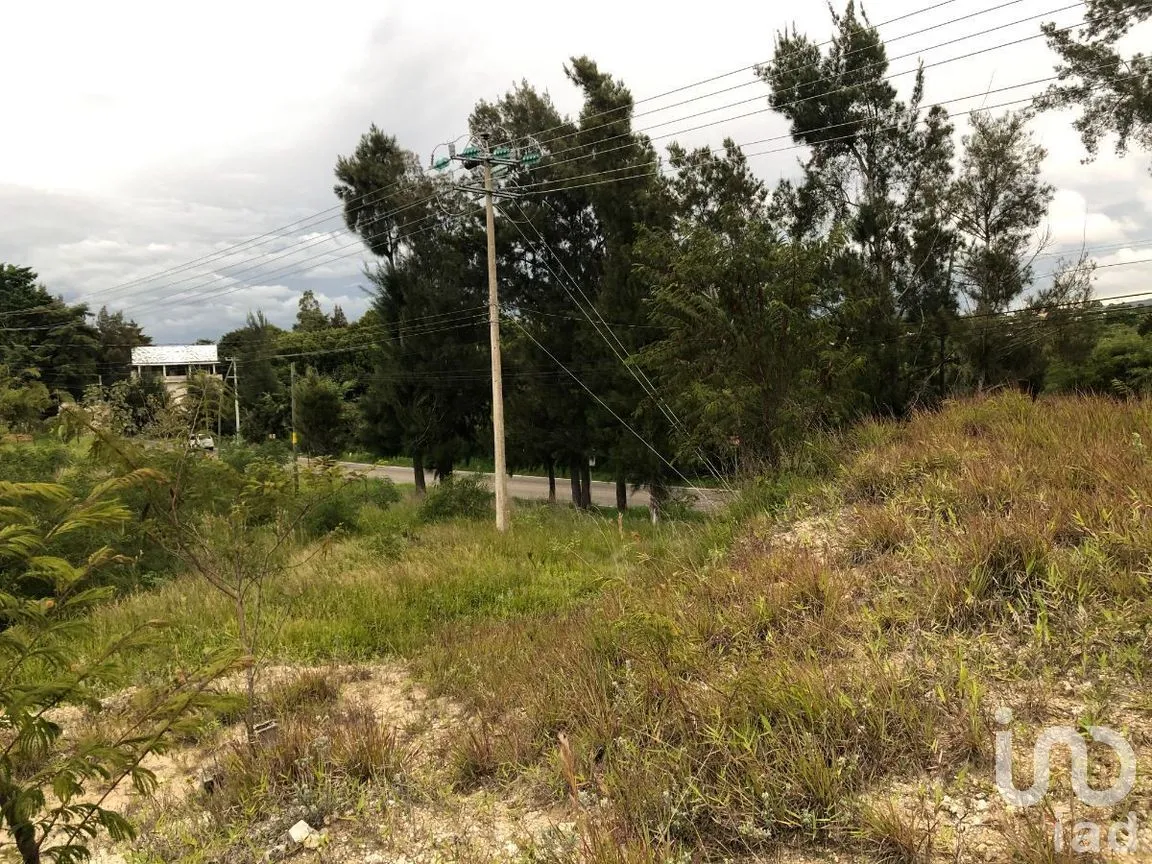 Terreno en Renta en Chichima Guadalupe, Comitán de Domínguez, Chiapas | NEX-270270 | iad México | Foto 12 de 17