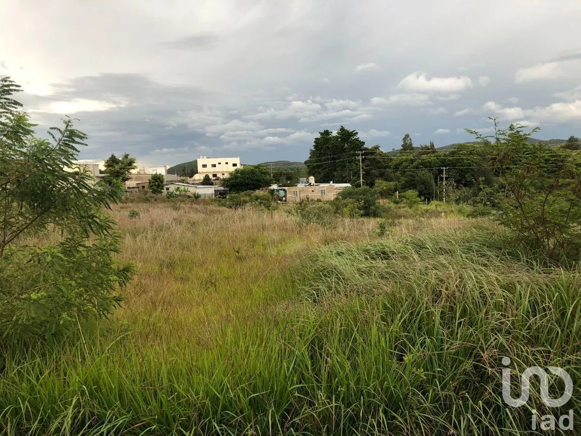 Terreno en Renta en Chichima Guadalupe, Comitán de Domínguez, Chiapas | NEX-270270 | iad México | Foto 13 de 17