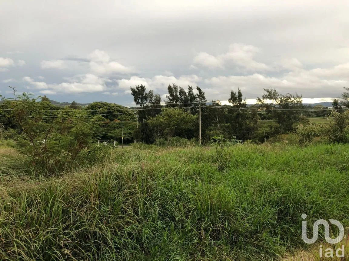 Terreno en Renta en Chichima Guadalupe, Comitán de Dom ínguez, Chiapas | NEX-270270 | iad México | Foto 14 de 17