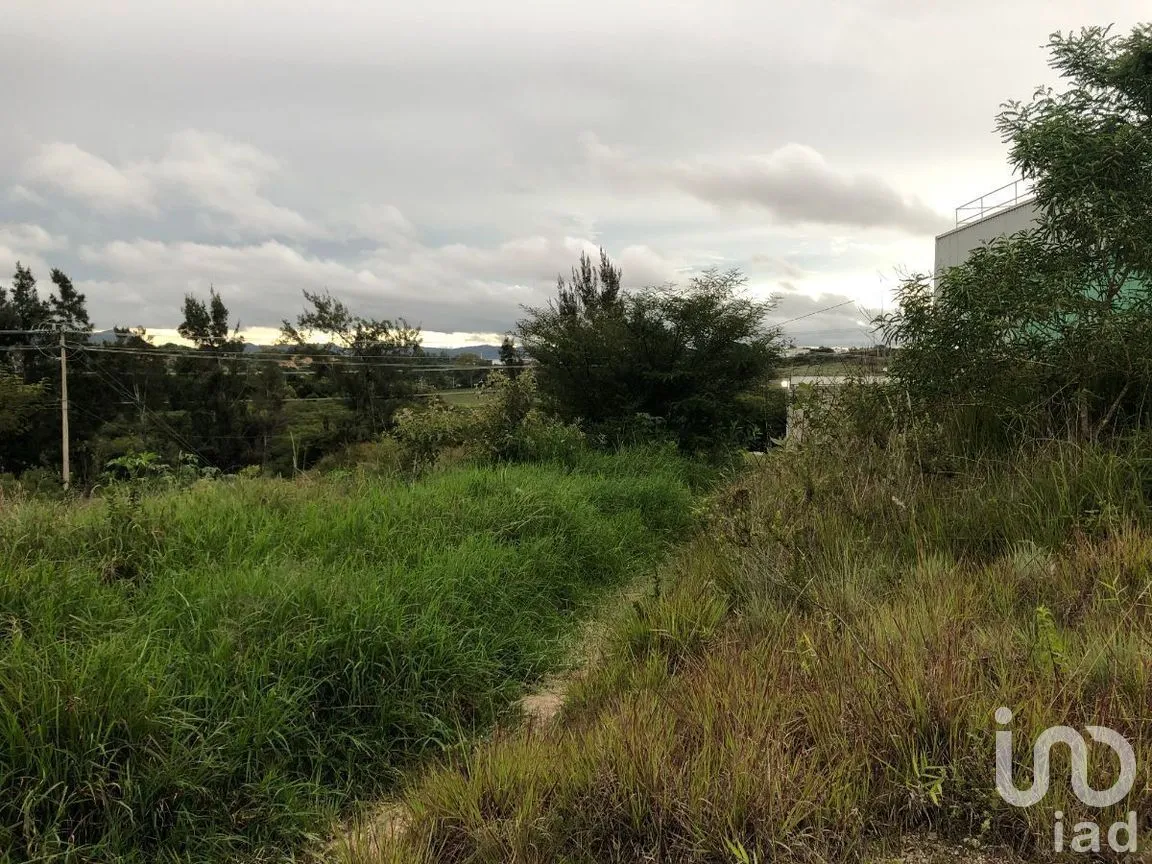Terreno en Renta en Chichima Guadalupe, Comitán de Domínguez, Chiapas | NEX-270270 | iad México | Foto 15 de 17