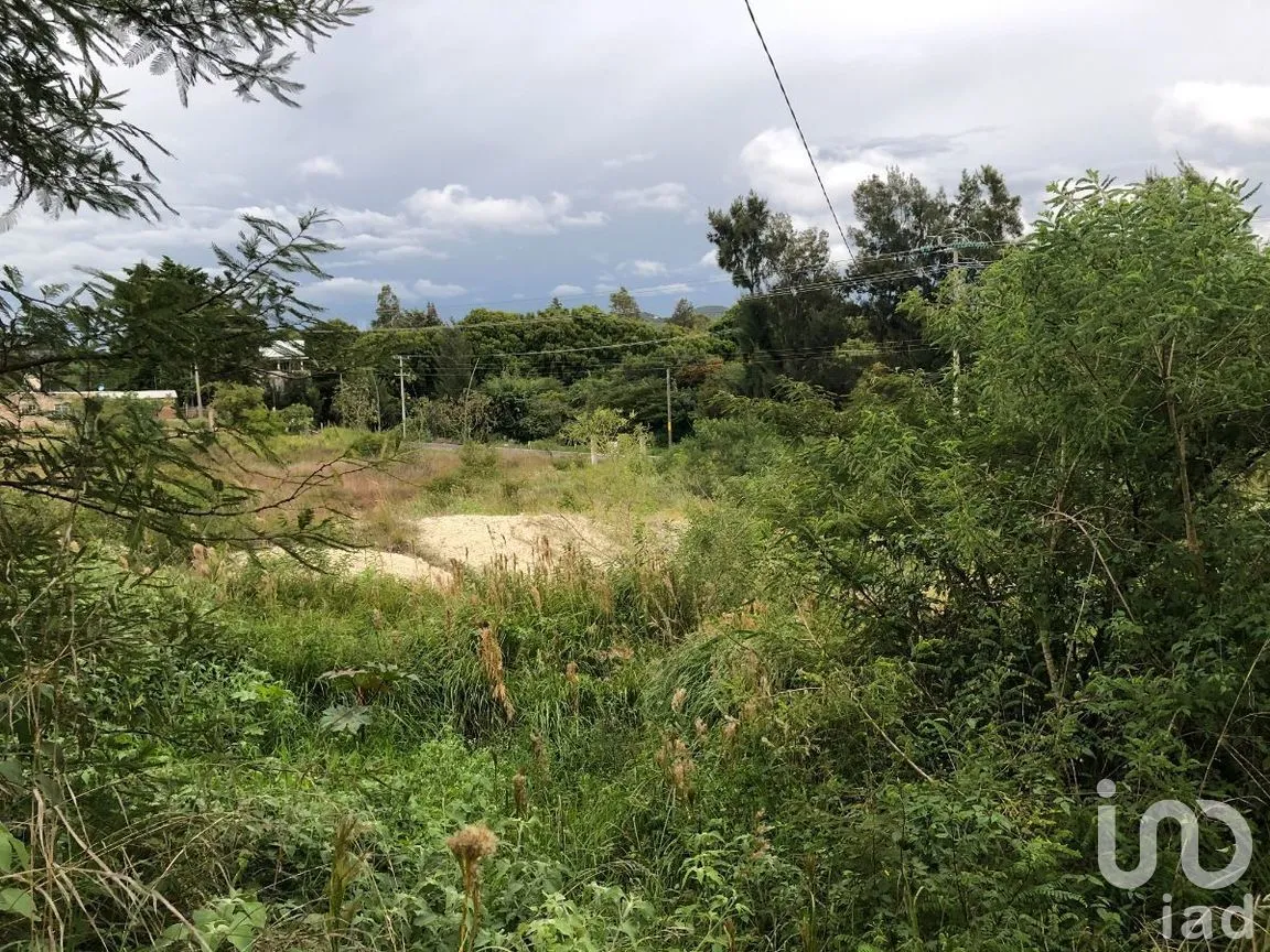 Terreno en Renta en Chichima Guadalupe, Comitán de Domínguez, Chiapas | NEX-270270 | iad México | Foto 16 de 17