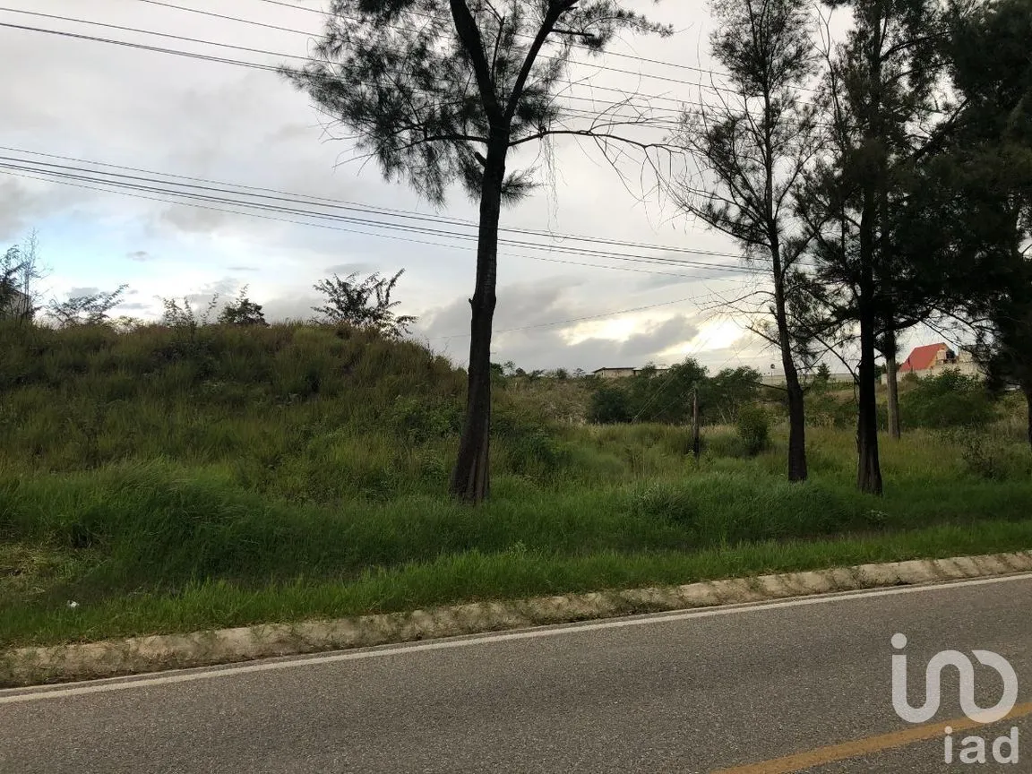 Terreno en Renta en Chichima Guadalupe, Comitán de Domínguez, Chiapas | NEX-270270 | iad México | Foto 5 de 17