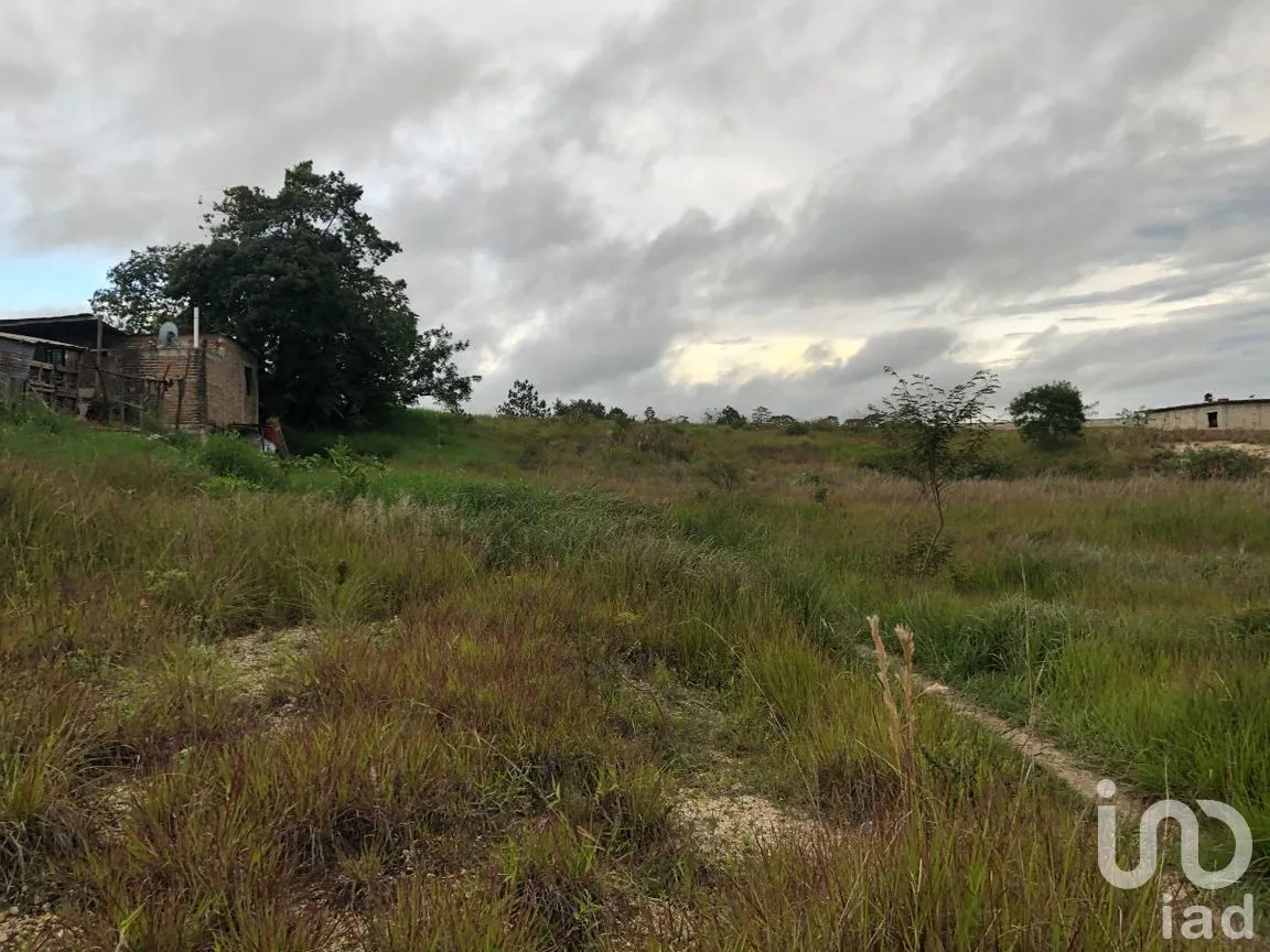 Terreno en Renta en Chichima Guadalupe, Comitán de Domínguez, Chiapas | NEX-270270 | iad México | Foto 8 de 17