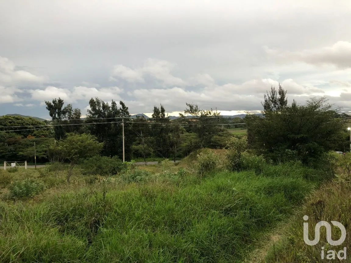 Terreno en Renta en Chichima Guadalupe, Comitán de Domínguez, Chiapas | NEX-270270 | iad México | Foto 9 de 17