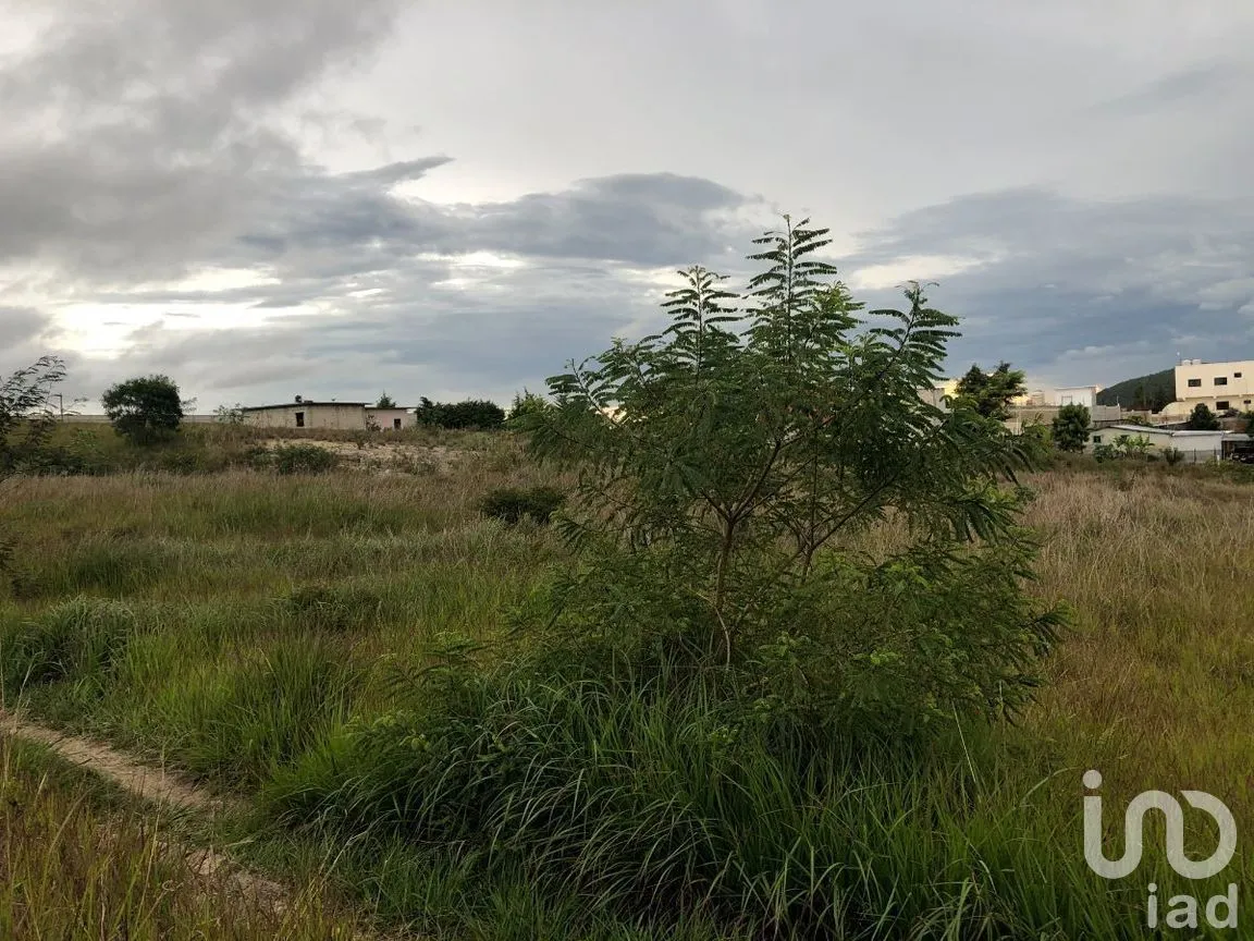 Terreno en Renta en Chichima Guadalupe, Comitán de Domínguez, Chiapas | NEX-270270 | iad México | Foto 10 de 17