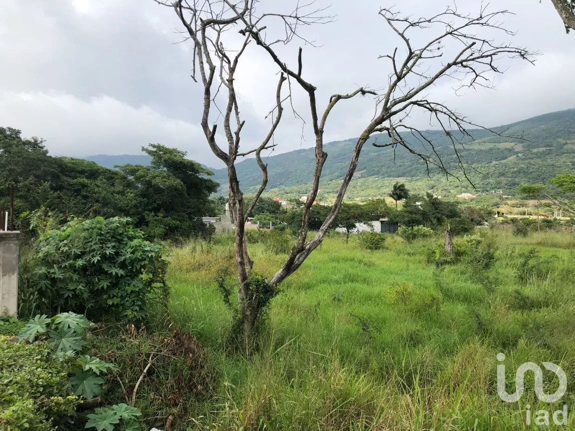 Terreno en Venta en Plan de Ayala, Tuxtla Gutiérrez, Chiapas | NEX-270278 | iad México | Foto 6 de 8