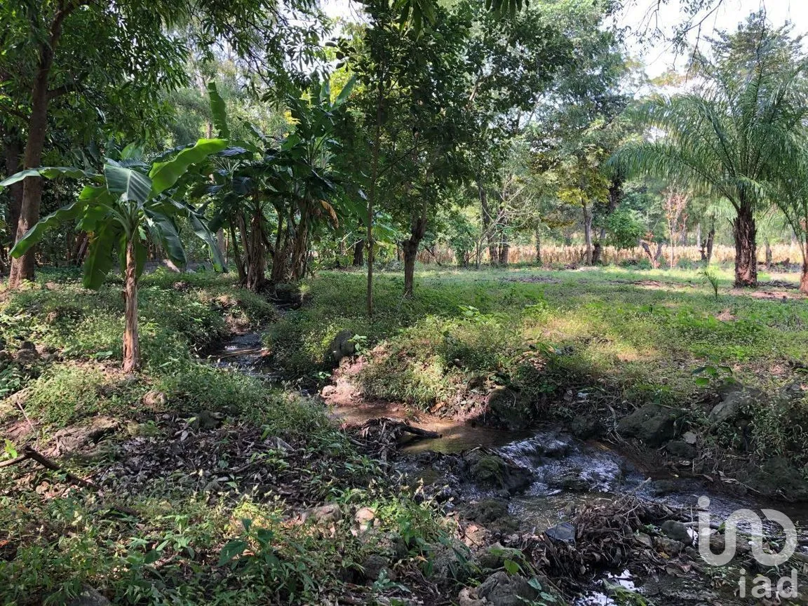 Terreno en Venta en Terán, Tuxtla Gutiérrez, Chiapas | NEX-270279 | iad México | Foto 4 de 20