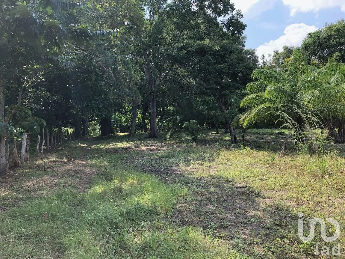 Terreno en Venta en Terán, Tuxtla Gutiérrez, Chiapas | NEX-270279 | iad México | Foto 7 de 20