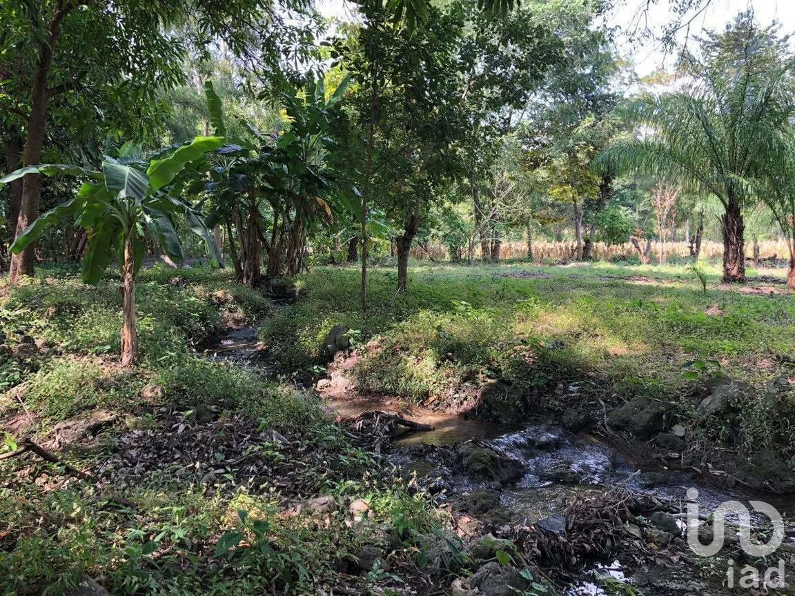 Terreno en Venta en Terán, Tuxtla Gutiérrez, Chiapas | NEX-270280 | iad México | Foto 4 de 20