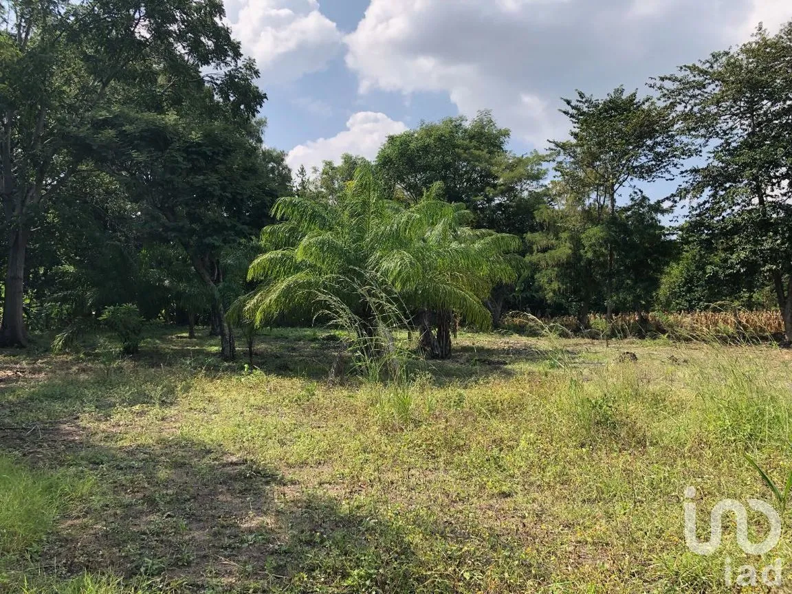 Terreno en Venta en Terán, Tuxtla Gutiérrez, Chiapas | NEX-270280 | iad México | Foto 6 de 20