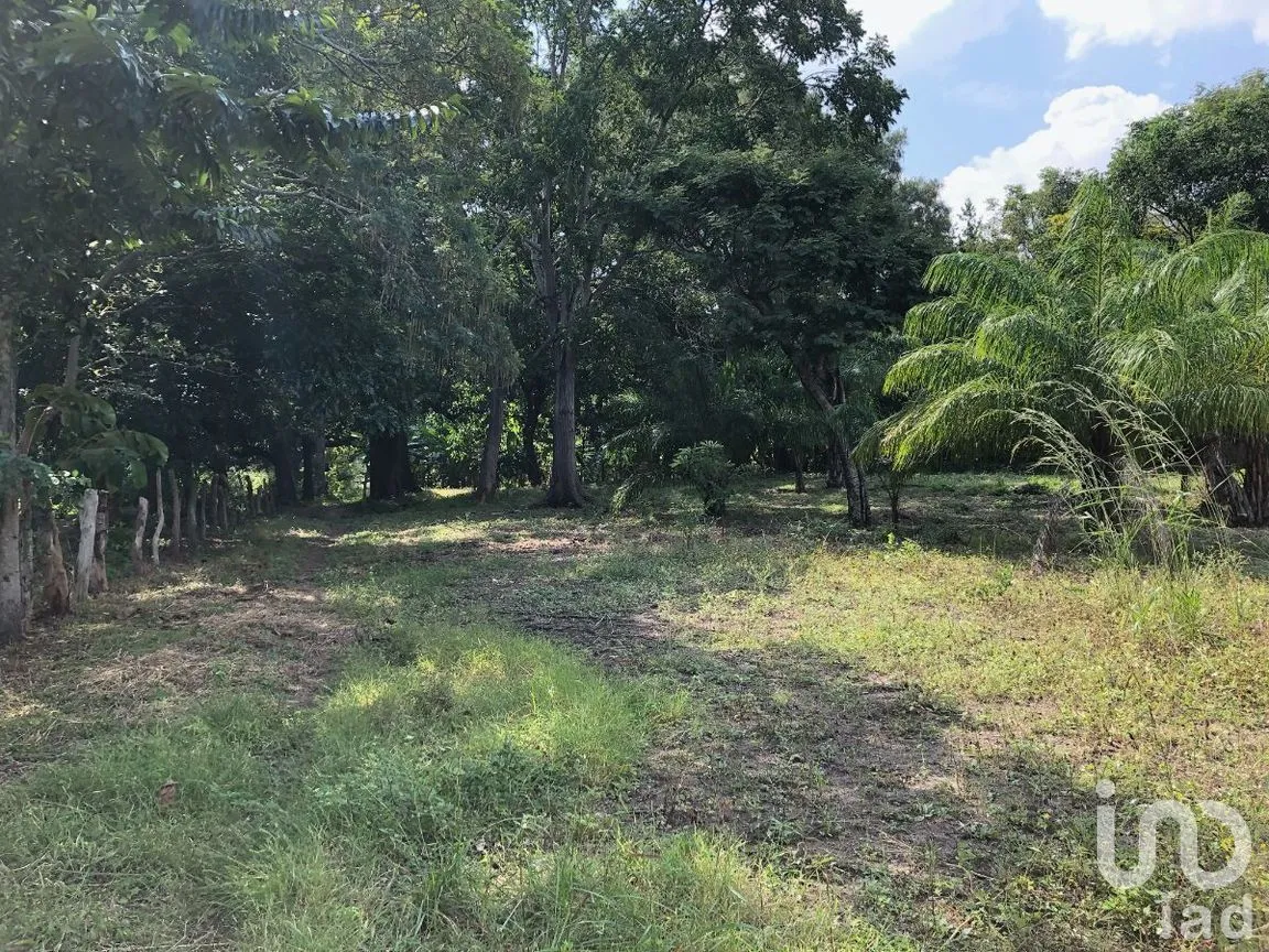 Terreno en Venta en Terán, Tuxtla Gutiérrez, Chiapas | NEX-270280 | iad México | Foto 7 de 20
