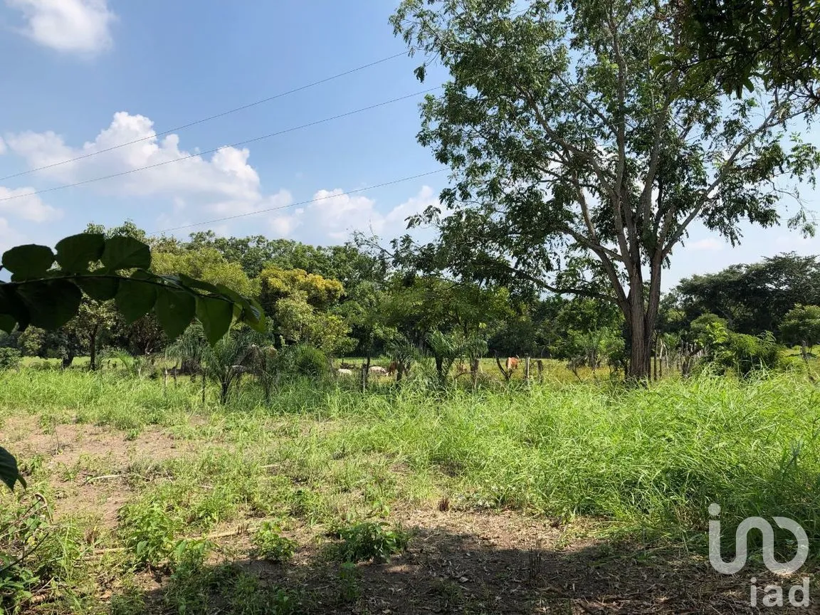 Terreno en Venta en Terán, Tuxtla Gutiérrez, Chiapas | NEX-270280 | iad México | Foto 8 de 20